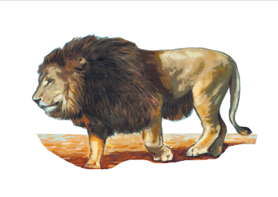 Le Lion de L'Atlas