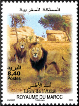 Le Lion de L'Atlas